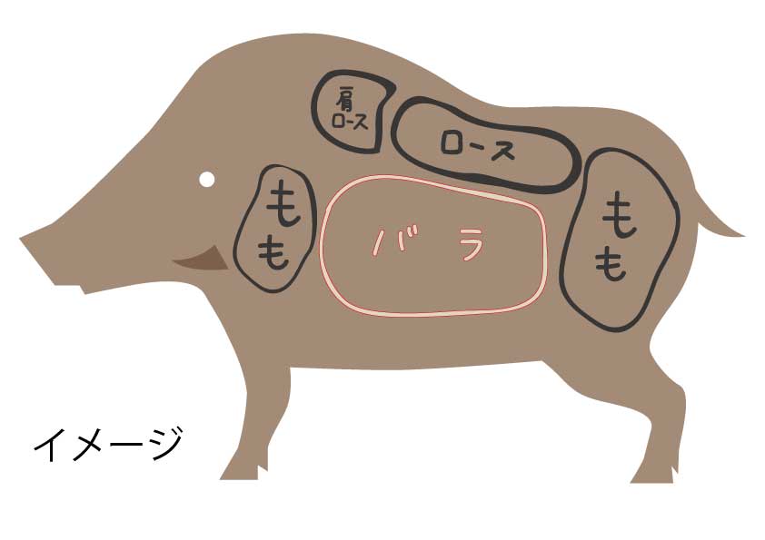 バラ.jpg